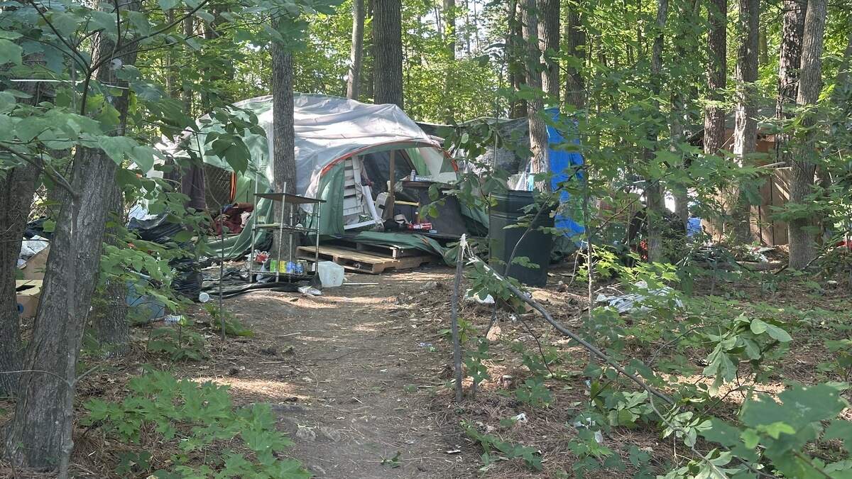 The N.C. Department of Transportation plans to clear this camp in the woods next to Exit 290, from westbound Interstate 40 to Chapel Hill Road.