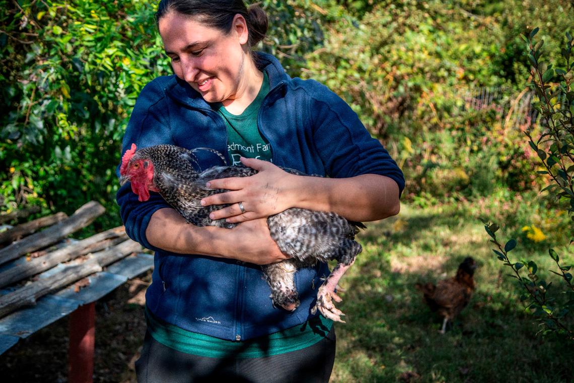 Lenore Braford, the founder of Piedmont Farm Animal Refuge in Pittsboro holds a rooster named “Percy” that lost its foot to a hunting trap.