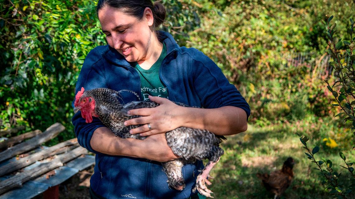 Lenore Braford, the founder of Piedmont Farm Animal Refuge in Pittsboro holds a rooster named “Percy” that lost its foot to a hunting trap.