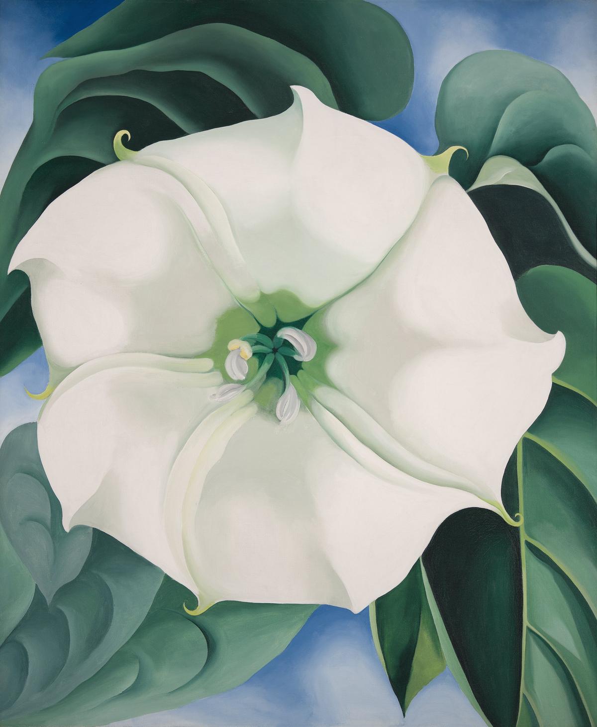 Georgia O’Keeffe’s “Jimson Weed/White Flower No. 1,” 1932, oil on canvas, 48x40 in., Crystal Bridges Museum of American Art, Bentonville, Arkansas.
