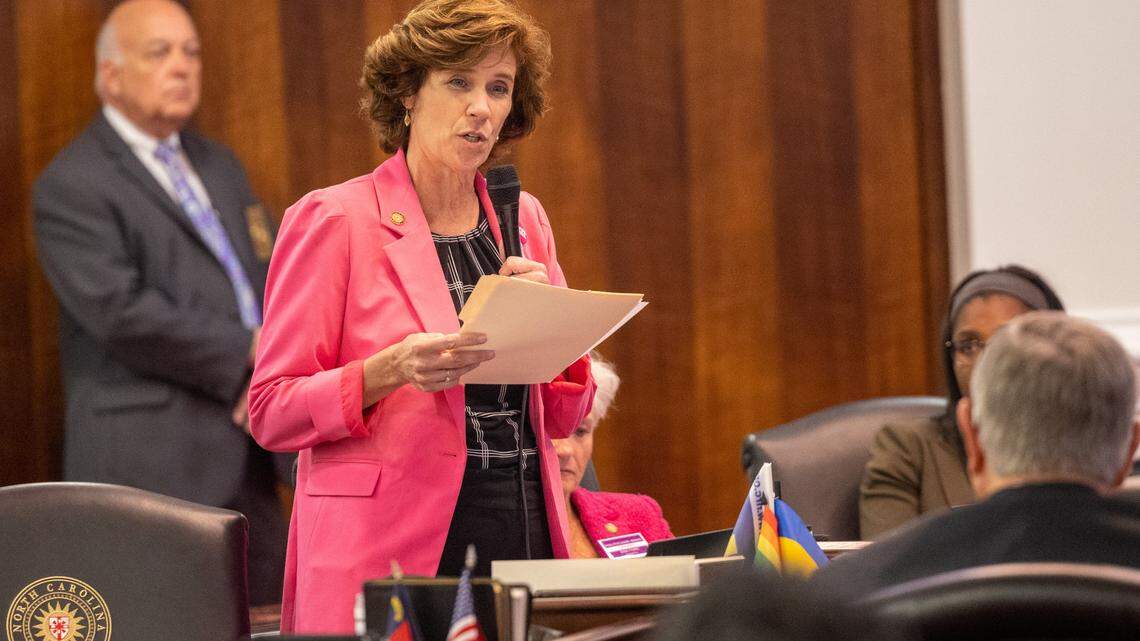 Mecklenburg Democrat says ‘blatantly rigged’ redistricting may force her to move