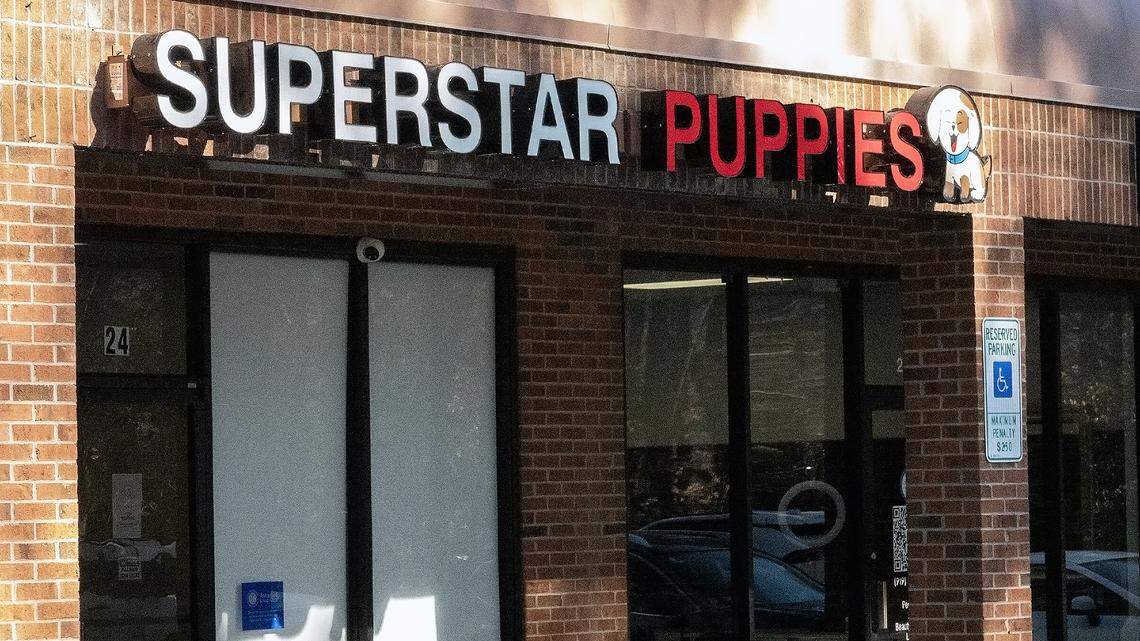 SuperStar Puppies, located in the Peachtree Market shopping center off of Six Forks Road in North Raleigh. Animal advocates protested outside the location on March 8 and are calling on the Raleigh City Council to ban pet retail.