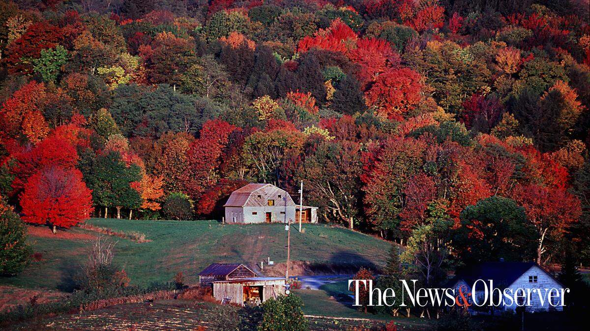 Fall colors in Watauga County, N.C.