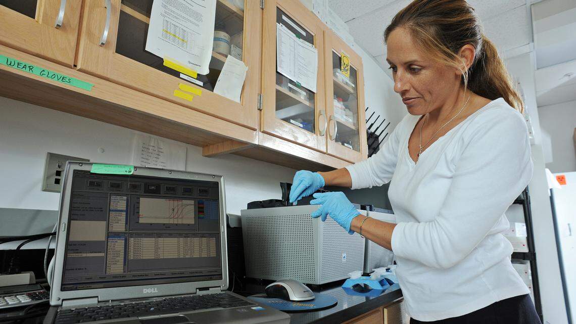 A dirty job: NC researchers use wastewater to detect COVID-19 and understand it