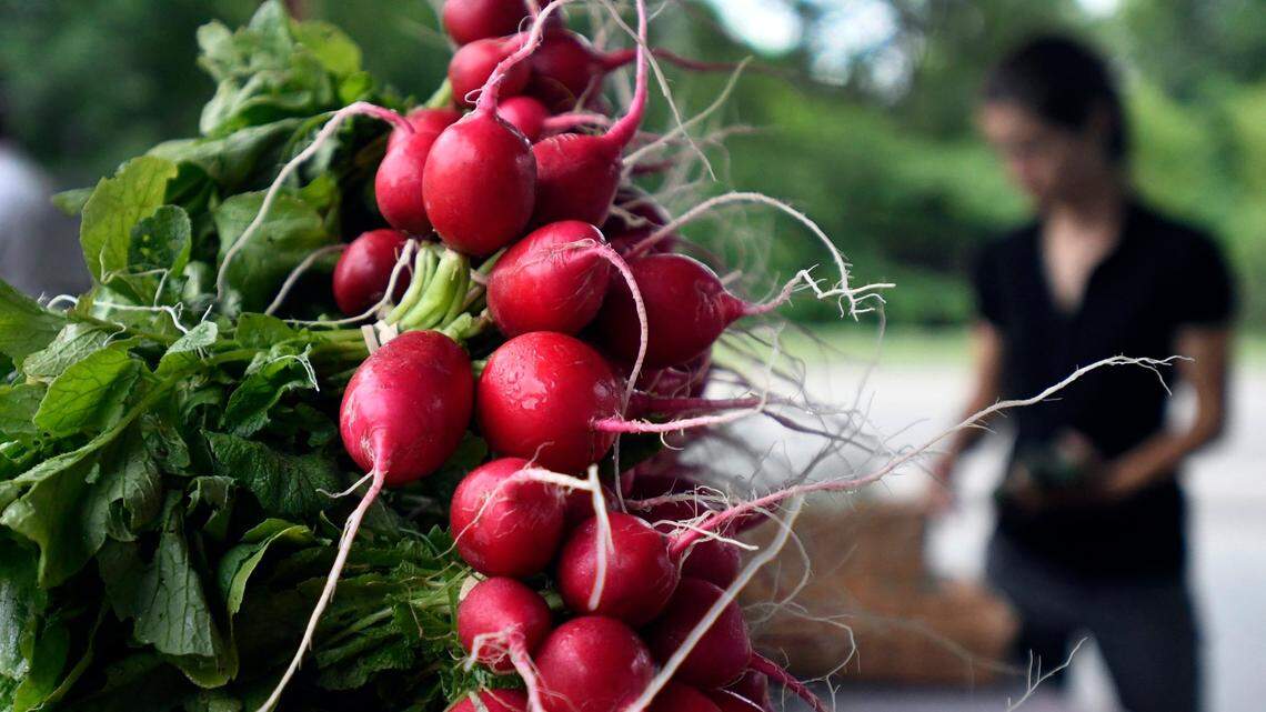 How ‘ridiculous’ gas and diesel prices are affecting NC farmers