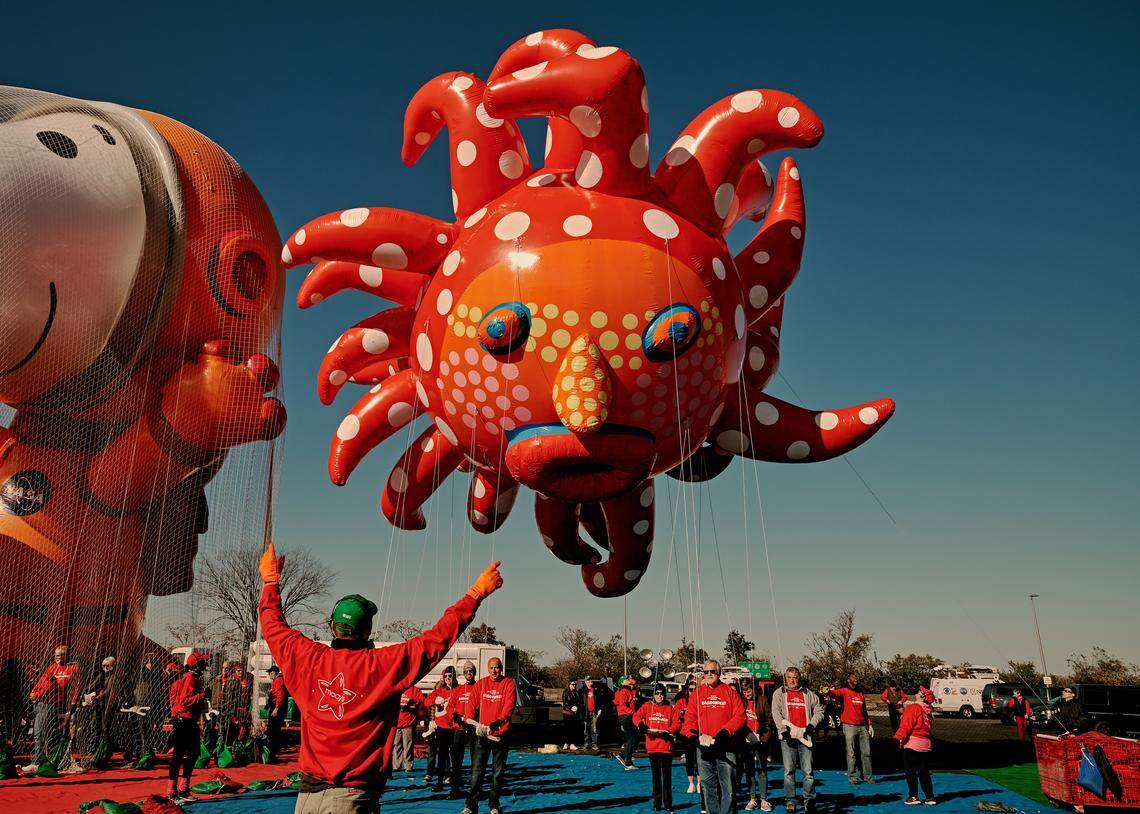 Yayoi Kusama’s balloon, “Love Flies Up to the Sky,” will fly in the Thanksgiving Day Parade this month. Macy’s wants to introduce Kusama to a broader population by hoisting the first balloon by a female artist in its series of art balloons.
