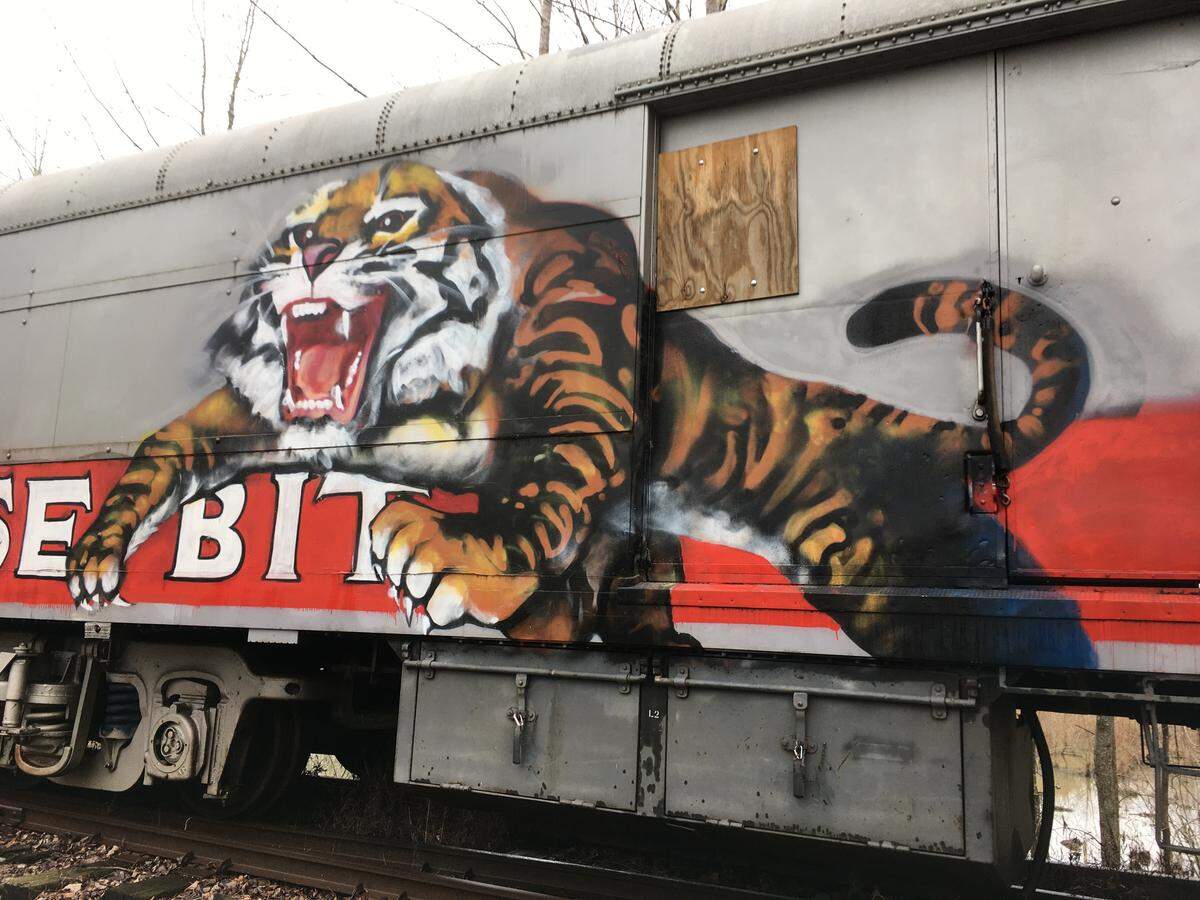One of the nine rail cars the N.C. Department of Transportation bought from the Ringling Bros. and Barnum & Bailey Circus has paintings of animals on the side, likely added by a graffiti artist at some point.