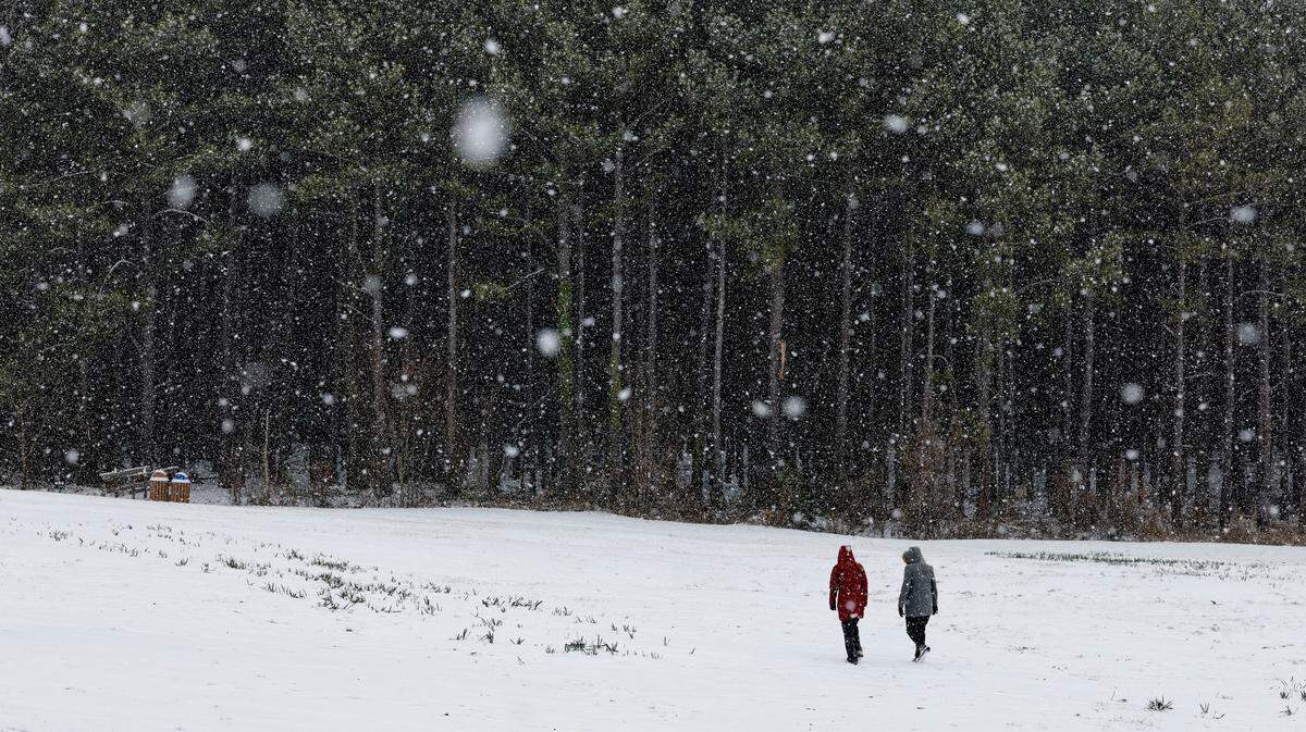 People enjoy Dix Park as snow falls in Raleigh, N.C., Thursday, Feb. 20, 2025.
