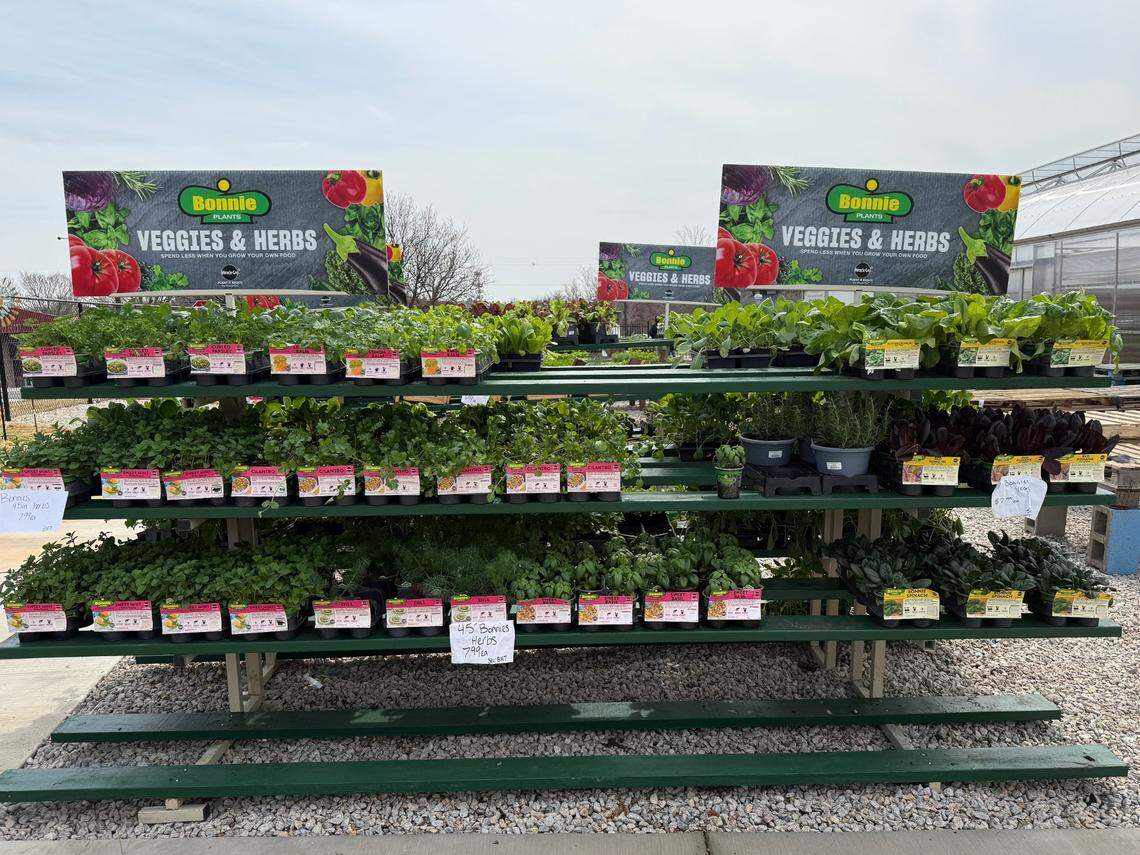 Shelves of herbs are placed outside at Logan’s Garden Shop in Raleigh, North Carolina.