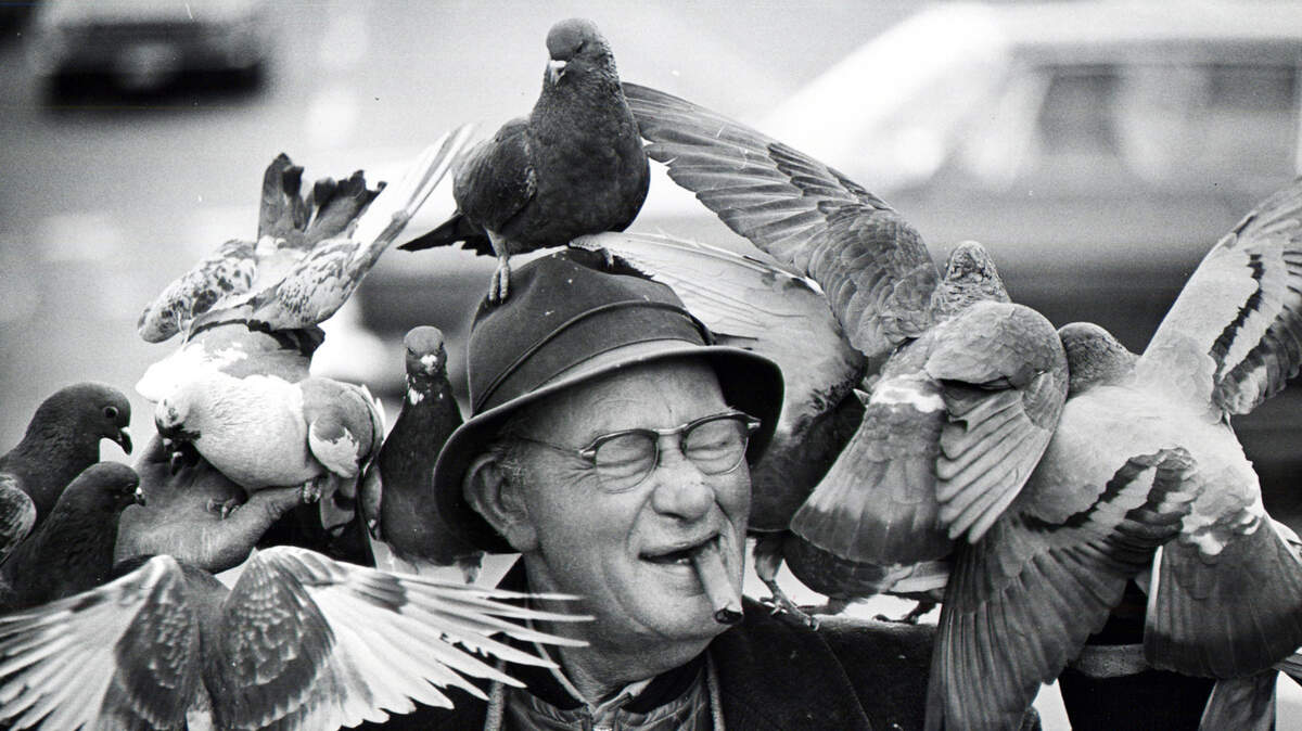 Jesse Broyles, better known as Raleigh’s “Peanut Man,” was a fixture at the downtown Capitol from roughly 1959 to 1989, selling peanuts for both people and pigeons. His life there followed a harrowing service with the U.S. Marines at the battle of Iwo Jima and other islands in the Pacific, as well as a lengthy service overseas in the 1920s and ’30s. His distant cousin has compiled a complete history of this troubled but beloved fixture of Raleigh.