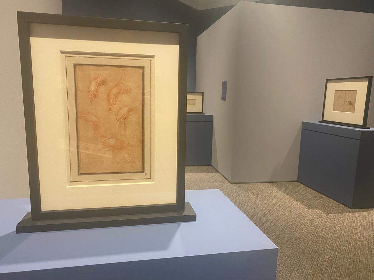 “Drawn to Life: Master Drawings from the Age of Rembrandt in the Peck Collection” is at the Ackland Art Museum in Chapel Hill, N.C., through Dec. 31, 2022. It includes dozens of 17th and 18th century drawings by Dutch and Flemish artists, including rare works by Rembrandt and this piece, “Studies of Hands from an Album” by Abraham Bloemaert.