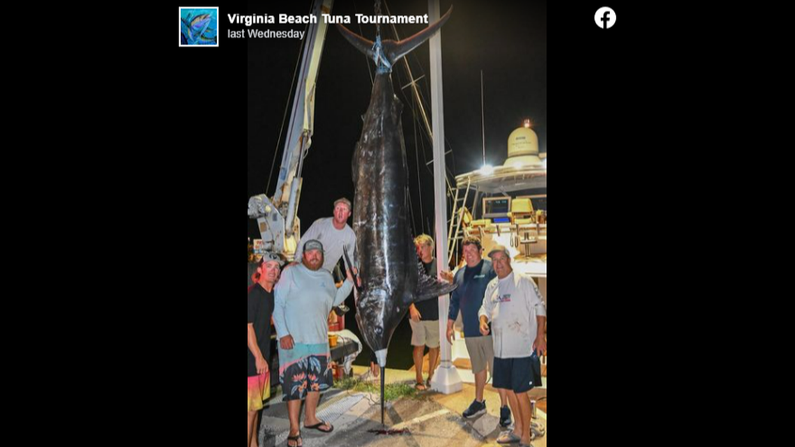 “Every time (the fish) kicked its tail my entire body would move up and down,” one angler told media outlets.