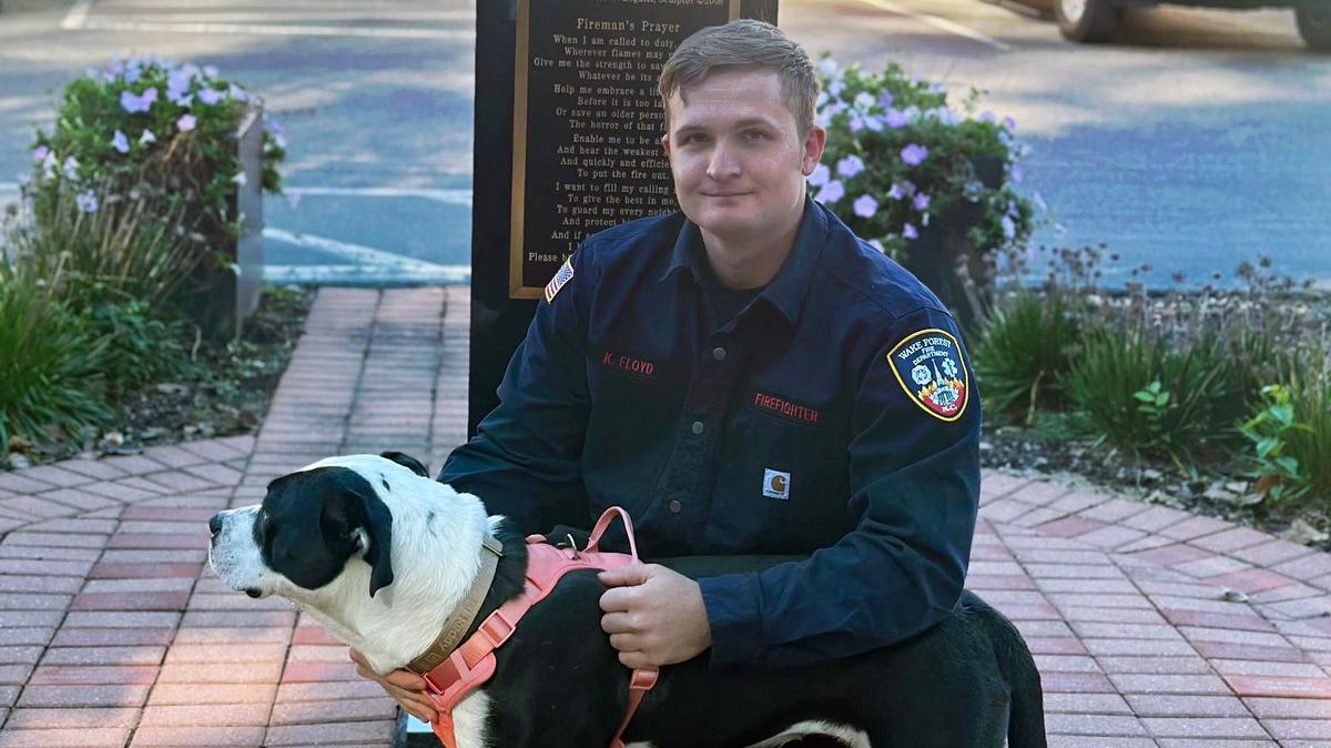 Wake County firefighter rescued dog in Western NC, then couldn’t let her go