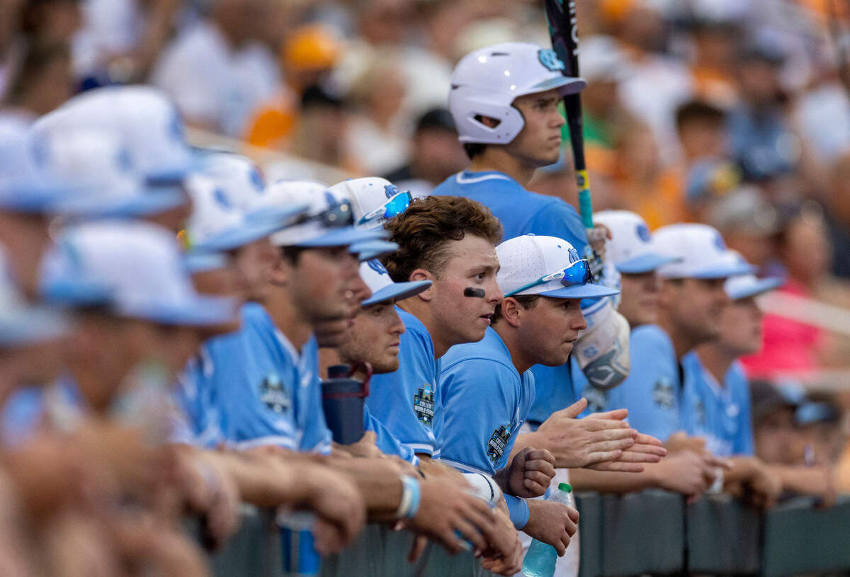 North Carolina outfielder Vance Honeycutt (7) watches the rest of the sixth inning from the dugout after connecting for a home run against Tennessee during the College World Series on Sunday, June 16, 2024 at Charles Swab Field in Omaha, Nebraska.