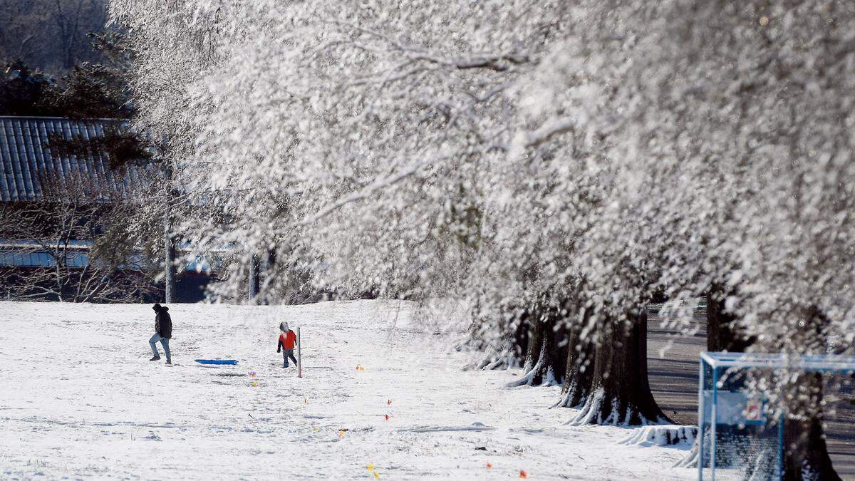 Sledders make their way across a snowy field at Dix Park Friday morning, Feb. 21, 2020 after a storm coated parts of the area with 1-3 inches of snow.