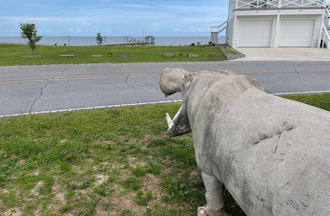Life is good for Ursula Pickle, who now has a clear view of the Core Sound between North Carolina’s main land and the Outer Banks near Beaufort.