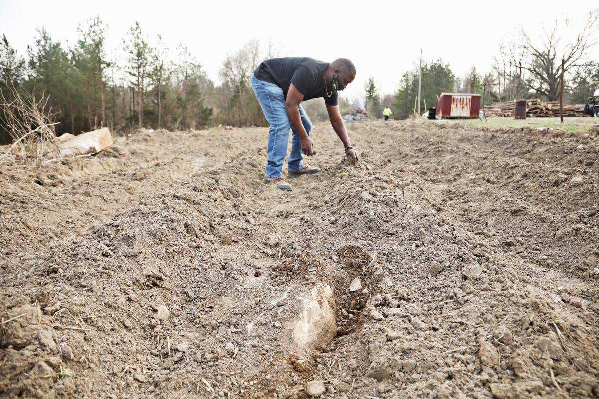Demetrius Hunter, a friend of Latonya Andrews, helps remove large stones from a newly cleared field Friday, March 12, 2021, in Norlina, NC, that will be returned to farming. Andrews is the 4th generation of her family to farm these 60 acres, starting with her great-grandmother, who bought it in the 1940s. Congress is considering providing $5 billion in aid to disadvantaged farmers (including debt relief) in the federal relief bill.