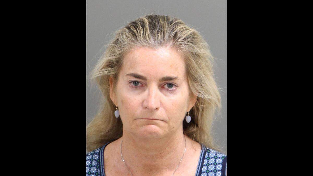 A Wake County grand jury handed up an indictment Tuesday against Nancy Errichetti, 55, who works as headmistress of The Montessori School of Raleigh. She is charged with one felony count each of aiding and abetting taking indecent liberties with a child and contributing to the delinquency of a minor.