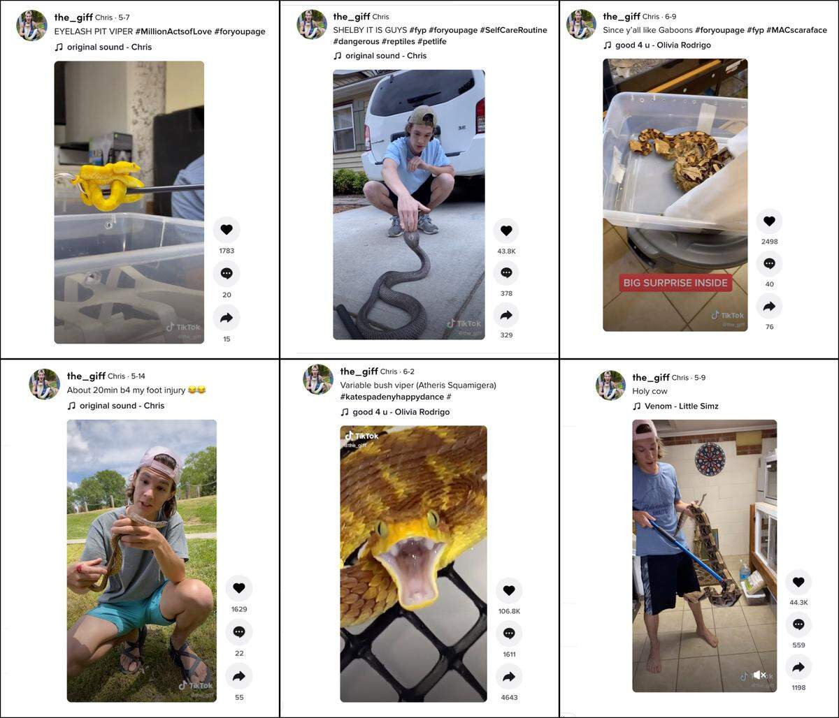 Christopher Gifford, seen in this these TikTok screen captures, goes by ‘the_giff’ on TikTok and has more than 460,000 followers.