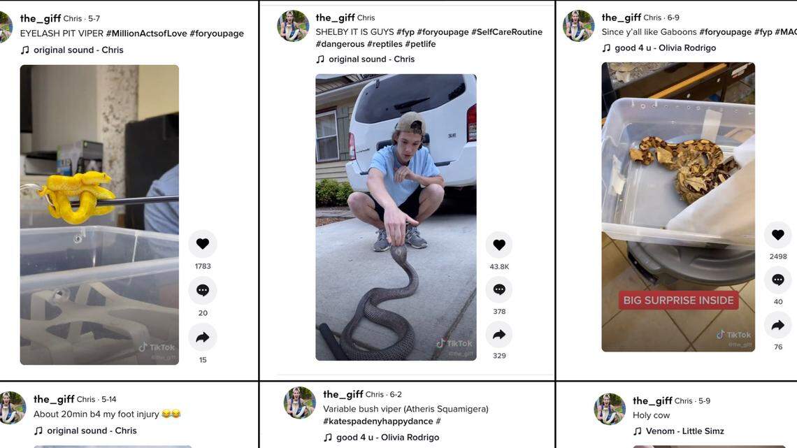 More lawmakers promise to fight for stricter laws in wake of cobra escape in Raleigh