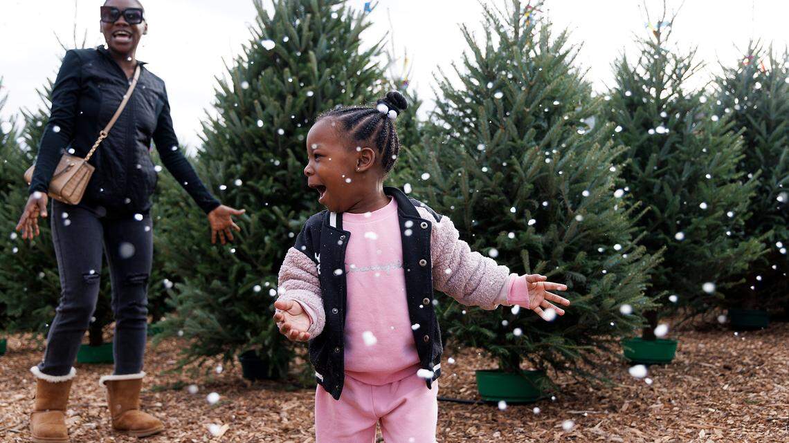 Where to get the best Christmas tree in the Triangle: A full list of local farms & lots