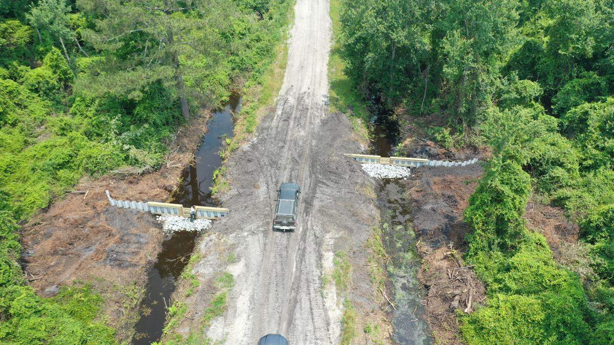 The Nature Conservancy builds weirs like this one in Pender County’s Angola Bay Game Land as part of an effort to control the flow of water to re-wet dried out peatlands. As part of a $421 million pollution reduction grant from the U.S. Environmental Protection Agency, The Nature Conservancy’s North Carolina chapter will receive $68 million to support its work on peatlands.