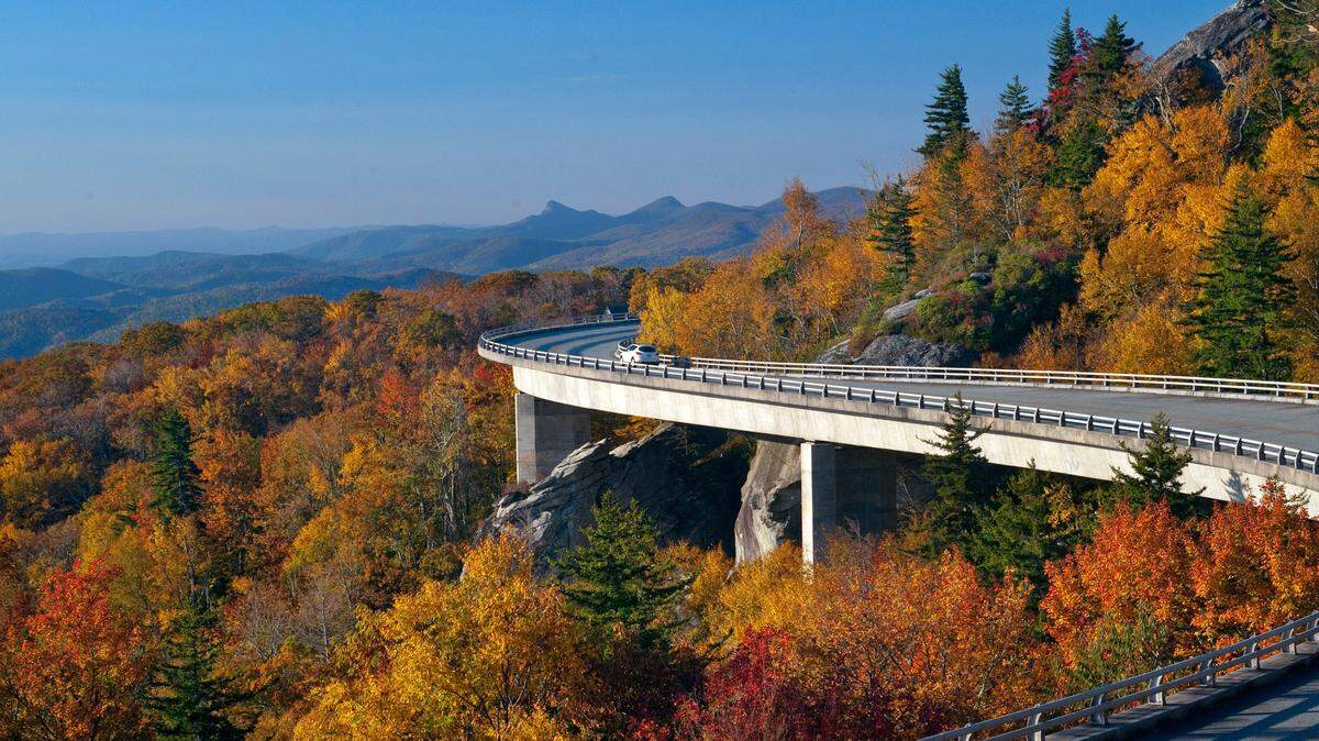 Tell us what you want to know about NC, and our CuriousNC reporters will get answers