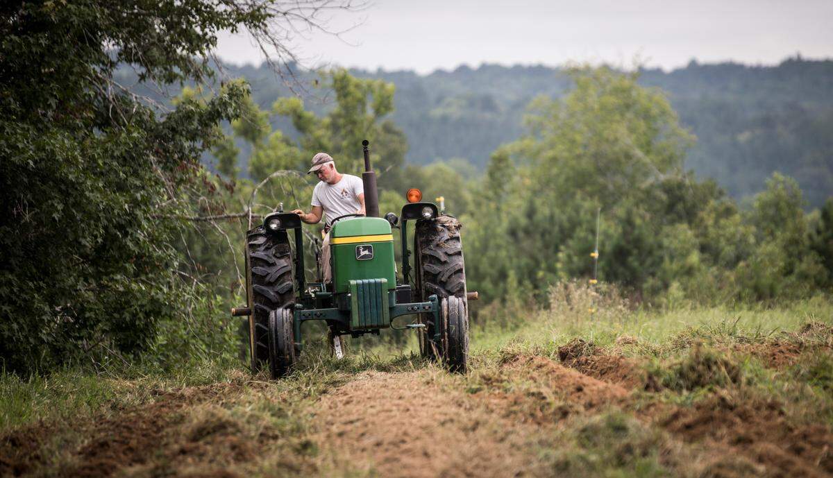 Rich Mason drives a tractor through a field at Honey Bee Hills Farm in Prospect Hill, N.C. on Friday, Aug. 21, 2020. Mason and his wife Liz started farming four years ago after leaving a career in international development. The couple thought surely they’d be able to access high speed broadband internet after moving back to the United States, not knowing the barriers to access that exist in Caswell County. Julia Wall / News & Observer / North Carolina News Collaborative