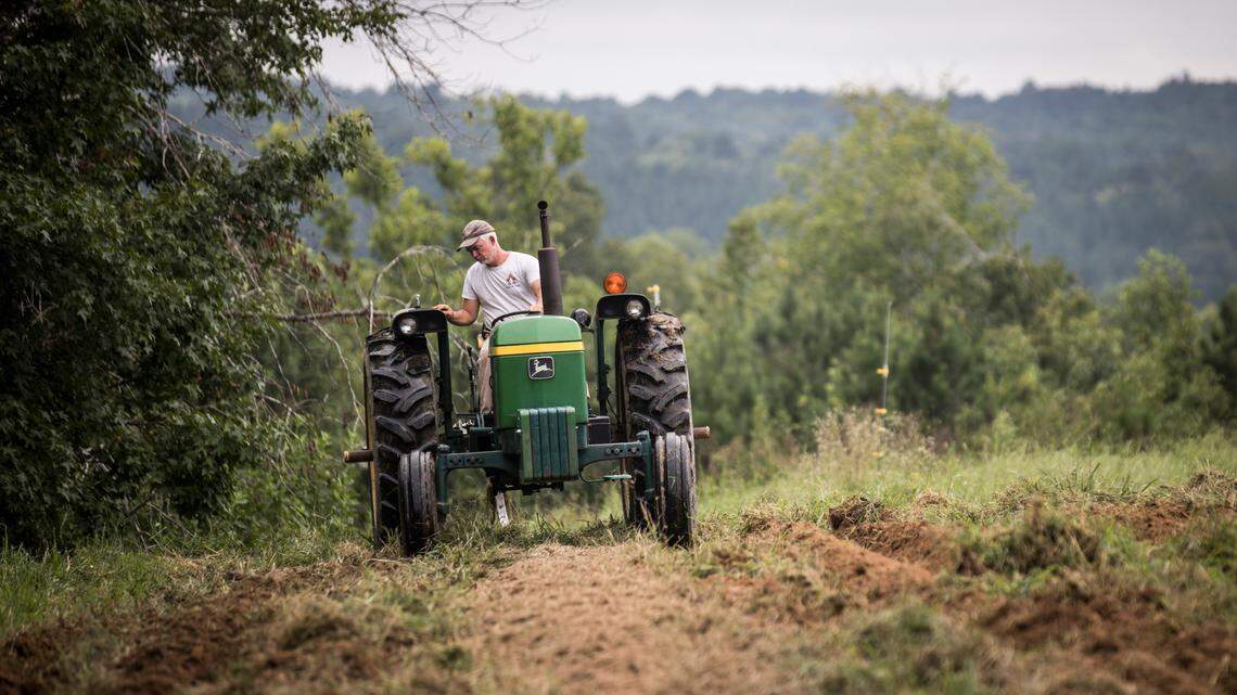 A N.C. Senate committee on Tuesday walked back a provision that would have made it easier for farmers to access diagnostic and repair tools for complicated electronic parts on their equipment. Here, Rich Mason is shown driving a tractor through a field at Honey Bee Hills Farm in Prospect Hill, N.C. on Friday, Aug. 21, 2020.