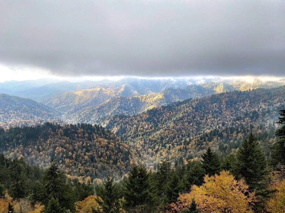 Low-hanging clouds blocked the sunrise at one of the most scenic vistas along the Appalachian Trail in the Smokies, but the view still proved enviable.