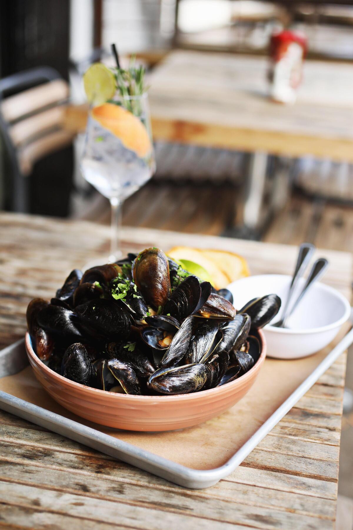 James Pharmacy’s “Big Ass Bowl of Mussels” is made up of PEI mussels in a Thai coconut broth with chili oil and cilantro. It is pictured here with the gin-tonic.