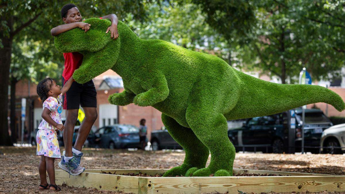 Three-year old Nevaeh Hucks and eleven-year-old Daiden Daniels investigate a new interactive topiary installation called “Bex”, a Tyrannosaurus Rex, in Moore Square on Wednesday, July 17, 2024 in Raleigh, N.C. It is one of three dinosaurs insulated in downtown Raleigh to celebrate the current Dueling Dinosaurs exhibit at the NC Museum of Natural Sciences.