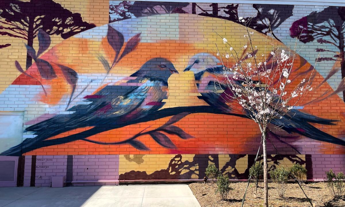 Triangle artist Britt Flood was inspired by Chapel Hill’s forests and greenways to paint this mural at University Place mall in October 2024. The mural, “Forest Song,” has two mourning doves in a canopy of trees at sunset, representing new beginnings, warmth and connection, according to a news release.
