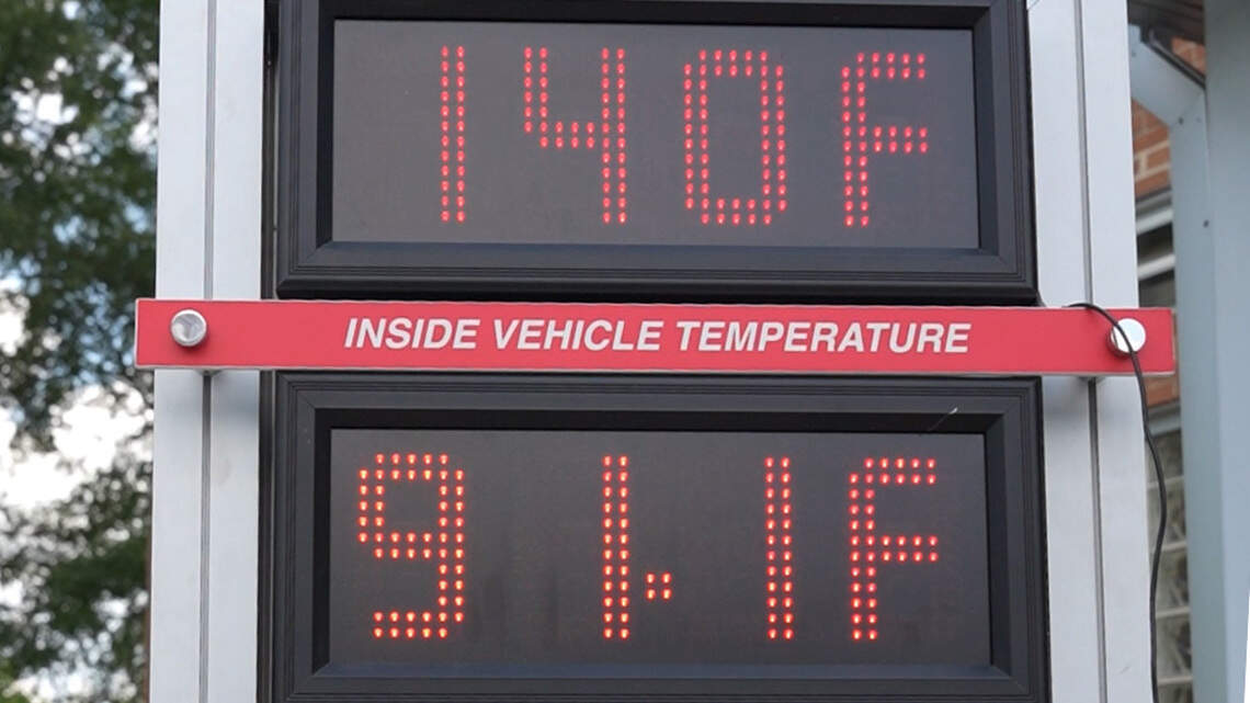 What to do if you see a child or a pet in a hot car | Raleigh News ...