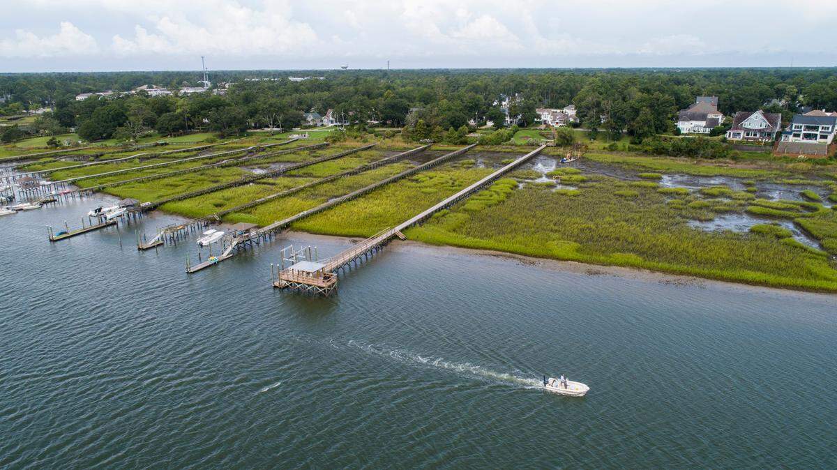 NC’s salt marshes hold 64 million tons of carbon dioxide. What happens if they die?