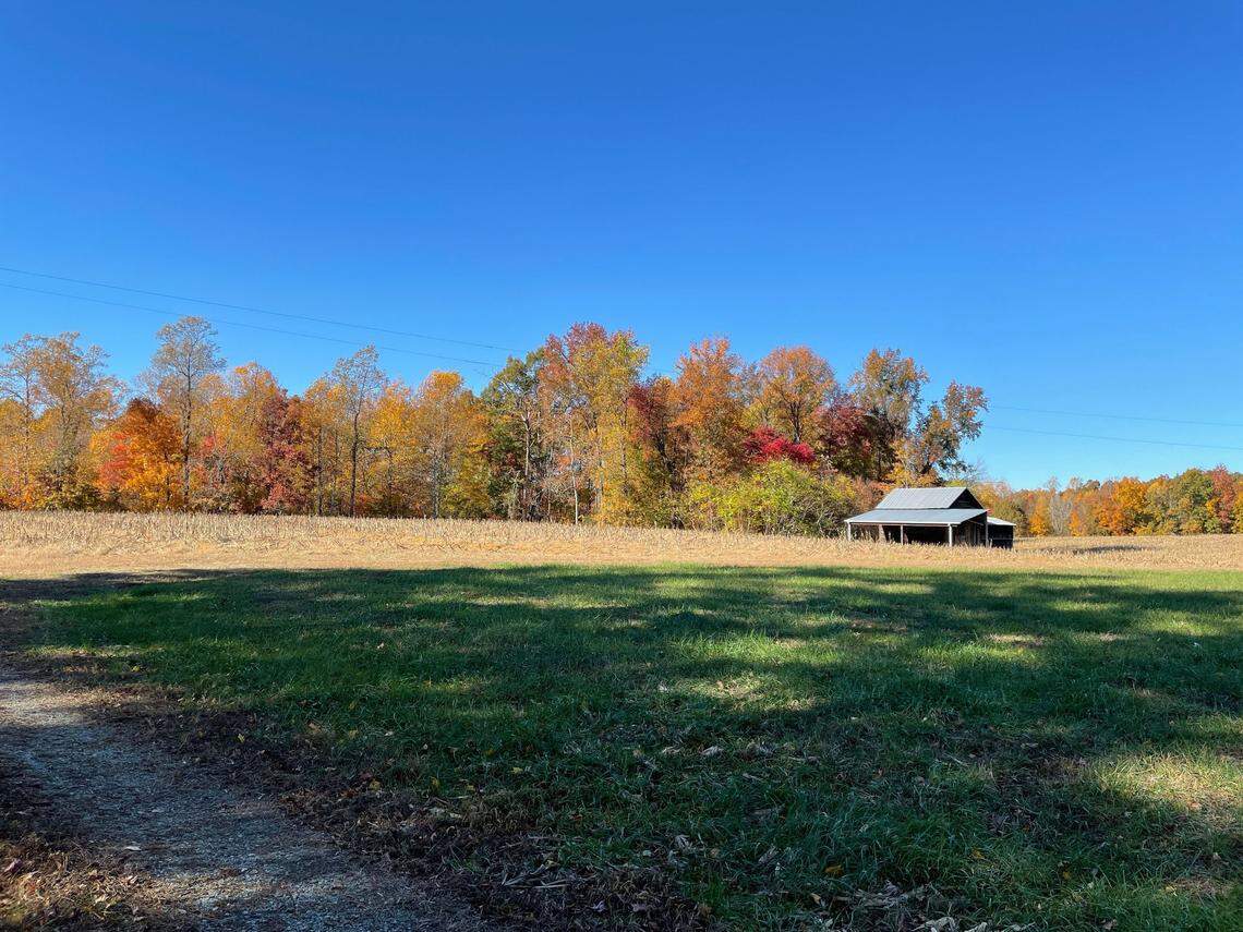 Bluestem, a green burial ground that opens in the spring, comprises 87 acres along Hurdle Mills Road in Cedar Grove — half forest and half formerly agricultural land.