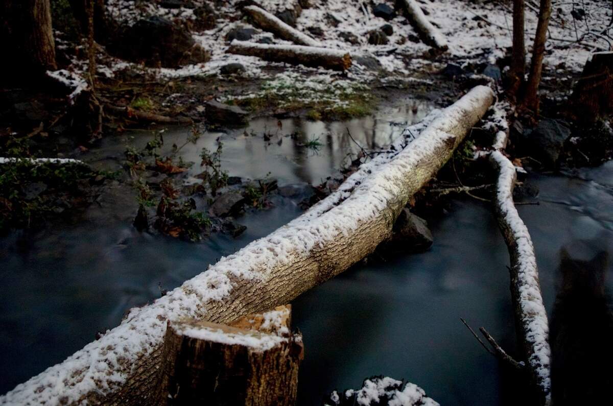 Snow covers logs across a creek early Thursday morning, Jan. 28, 2021, in Durham, N.C.