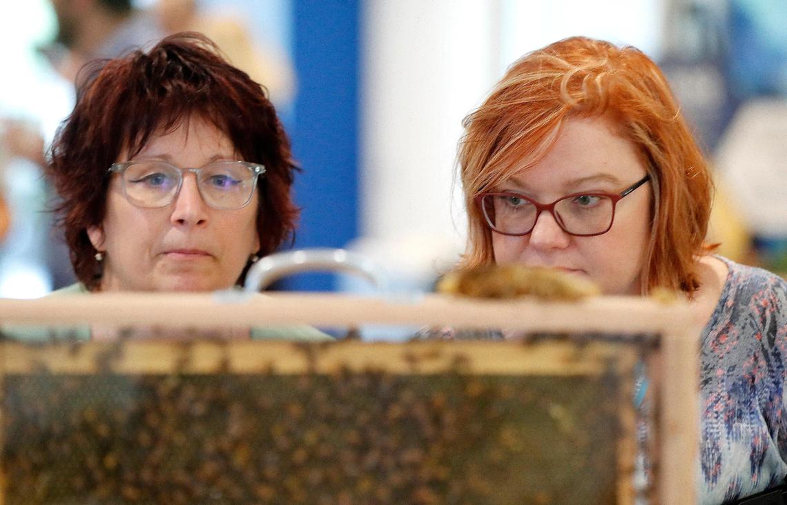 Samantha Herring, left, and Jennifer Torres, observe bees during a ceremony at RTI International in April 2019. The hives were part of a pollinator corridor in Research Triangle Park.