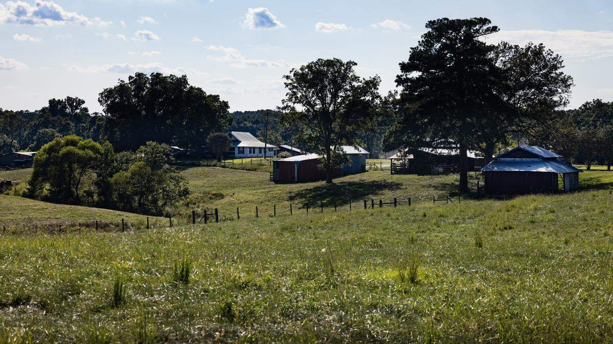 A portion of the tract of land where a proposed data center would be located near New Hill and the Harris Nuclear plant in southern Wake County.