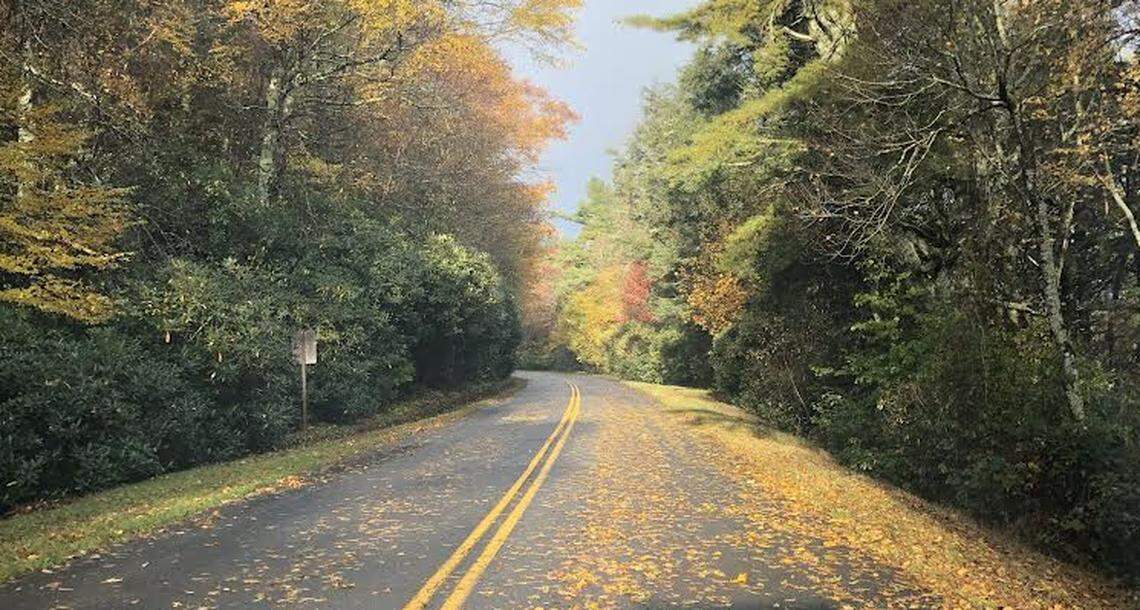 A view of the changing leaves along the Blue Ridge Parkway near Deep Gap in October 2019.