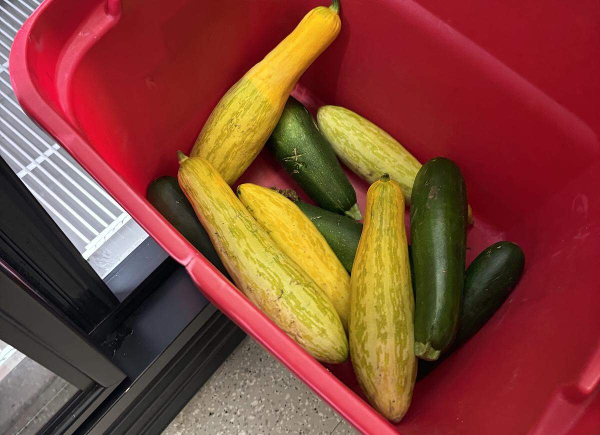 Zucchini and squash at NC State’s Feed the Pack food pantry on Thursday, May 28, 2026.