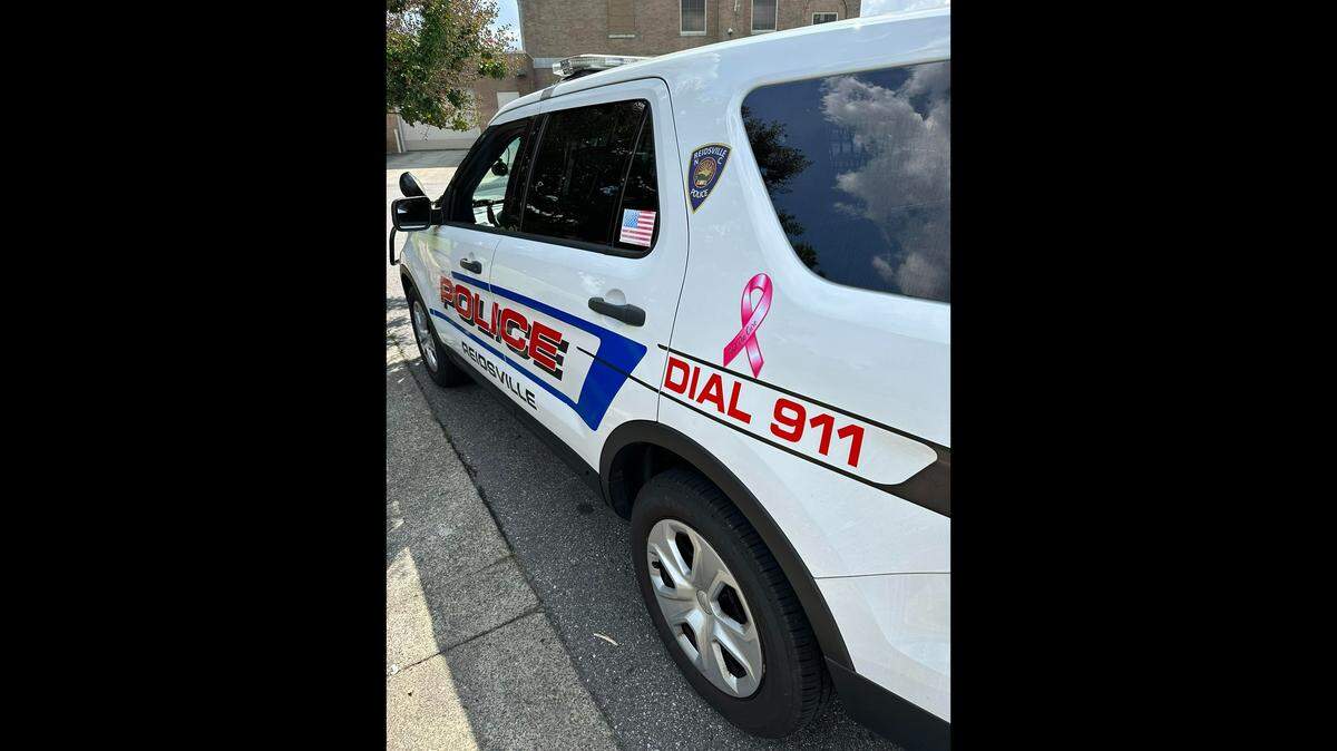 A Reidsville police officer left his patrol car door open in 90-degree temperatures and came back to find a bird enjoying the air conditioning.