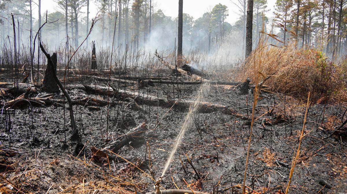 The U.S. Forest Service is working to control the Black Swamp Fire within the Croatan National Forest in Jones County. The fire is burning in the peat-rich soil of the forest. It’s one of several fires burning on federal property that show up on the Forest Service’s interactive wildfire-tracking map.