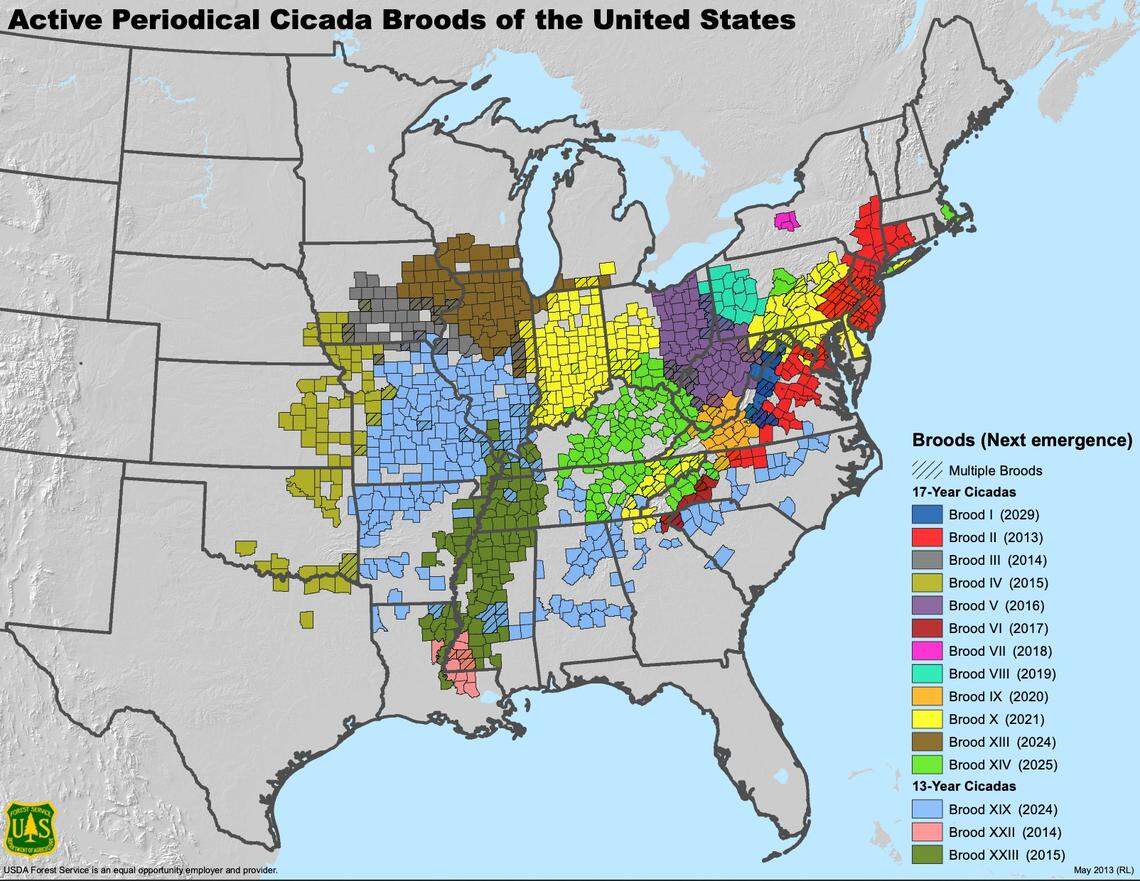 Map of active periodical cicada broods of the United States.