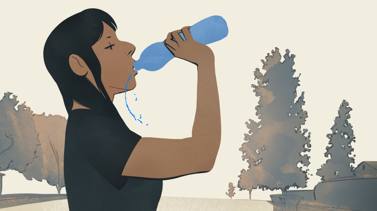 What happens to a plastic bottle you recycle in Raleigh? Here’s the journey