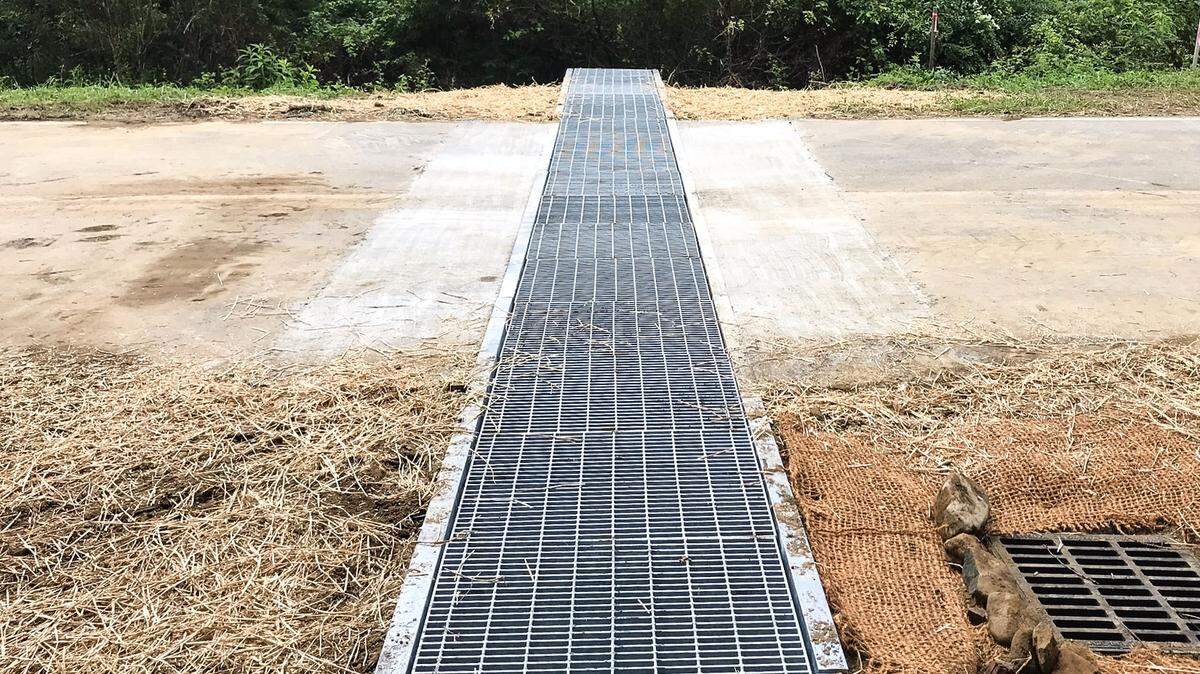 A wildlife tunnel recently installed under a state highway in northwestern North Carolina allows snakes, frogs and other small animals to pass between two wetland areas without getting hit.