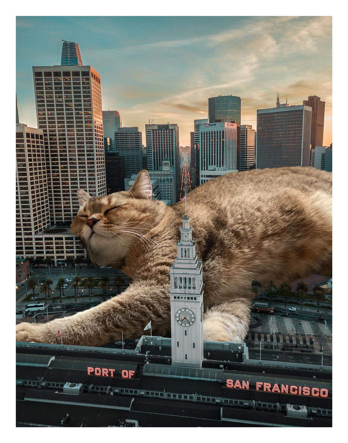 Matt McCarthy’s “Magnus Cattus” show comes to Cary Arts Center starting Thursday, June 2, featuring outsized felines in outrageous composite poses.