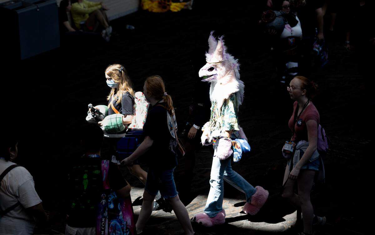 Cosplayers and comic fans celebrate Galaxycon at the Raleigh, N.C. Convention Center on Friday, July 25, 2025.