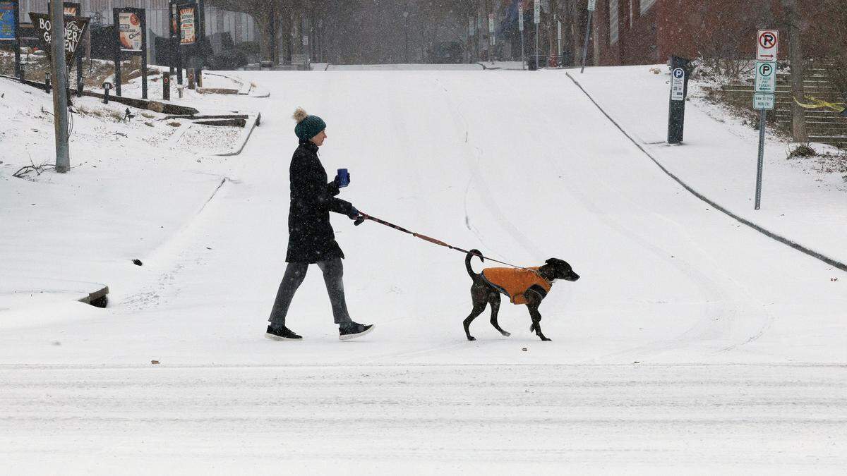 A person walks with a dog along snow-covered streets in downtown Durham on Saturday, Jan. 31, 2026.