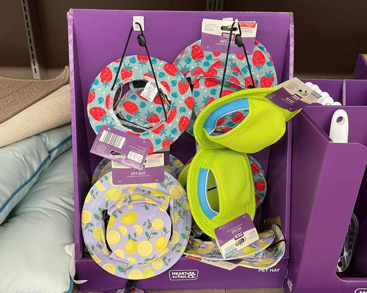 Bucket hats for dogs, priced at about $4, are among the items for sale at Aldi. The hats come in several colors and have openings for ears.